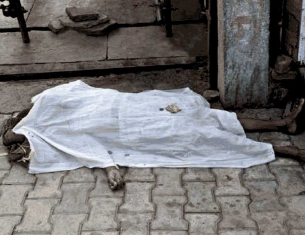 Plight of the Widows